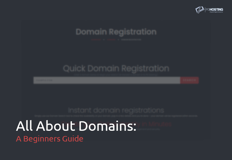 All about domains - a beginners guide